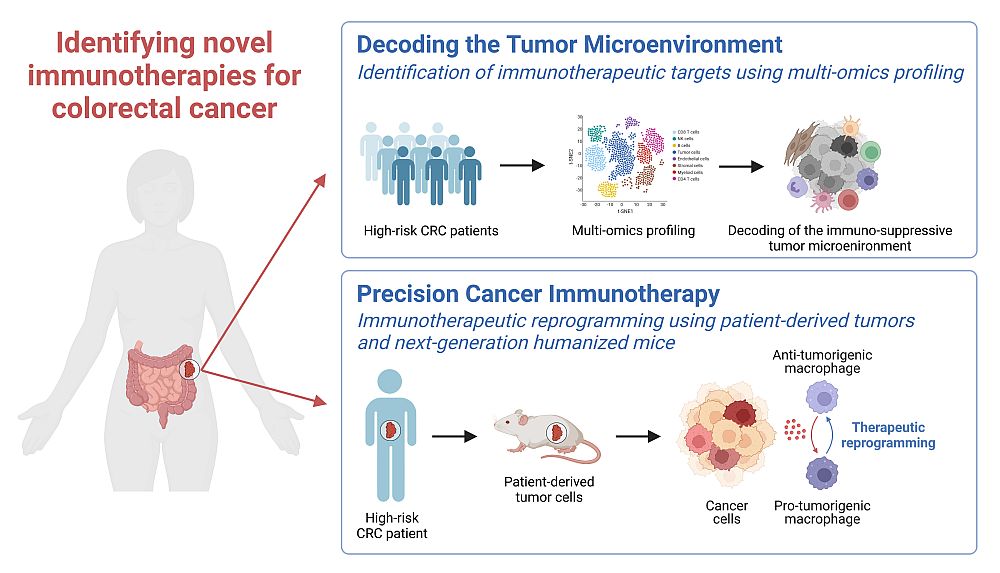 Identifying novel immunotherapies for colorectal cancer